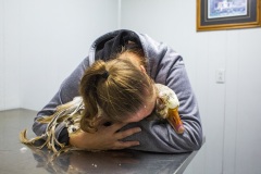 Denise Andrews cries over her pet goose, Mick, before he is put down at the Harrison County Veterinary Clinic in Cynthiana, Ky. on October 31, 2019. Just minutes before, Mick was diagnosed with a malignant tumor on his face. "I hate to put anything down," Denise says.